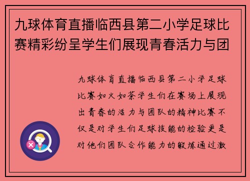 九球体育直播临西县第二小学足球比赛精彩纷呈学生们展现青春活力与团队精神